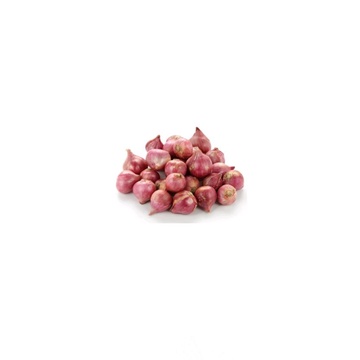 

bawang merah super