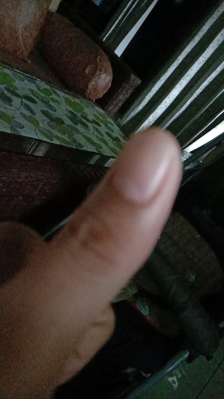 Payung Lipat Motif Totoro Lucu Nagoya Nf414