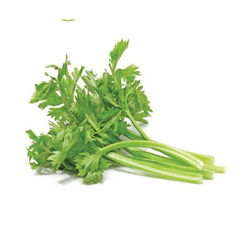 

Daun Seledri Segar Fresh Surabaya