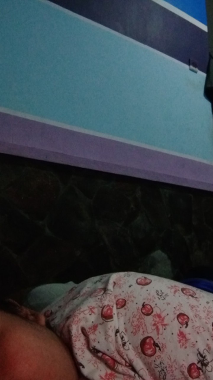 Bswart Batik Hrb026 Kenongo Hem Pendek Padi Pekalongan M L Xl Batik Pria Murah Modern Grosir