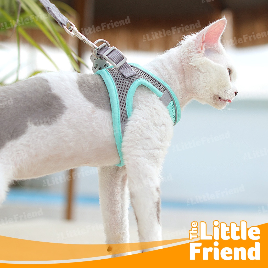 Harness Tali Tuntun Leash Anjing Kucing Velcro Strap Mesh Reflective