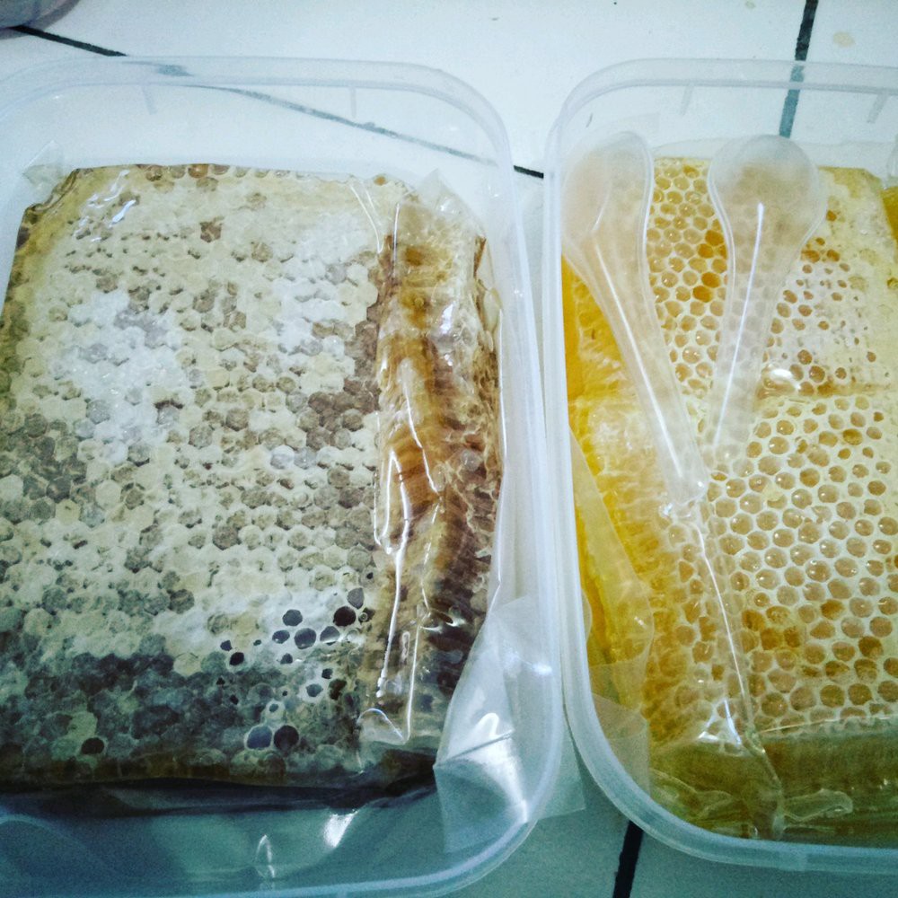 

Madu sarang melifera matang Limited