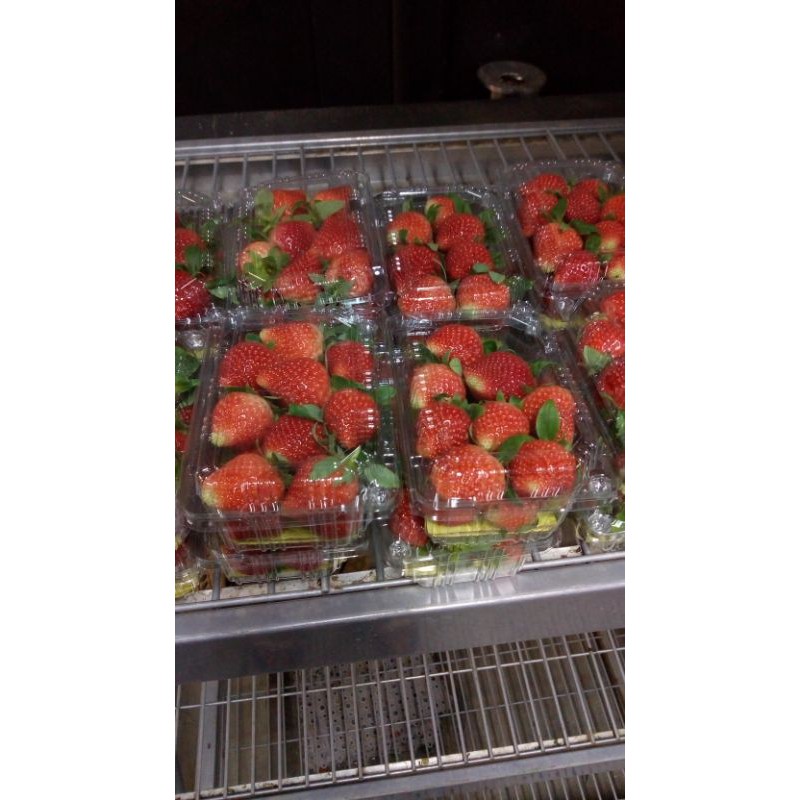 

buah fresss strawberry jumbo 250 grm