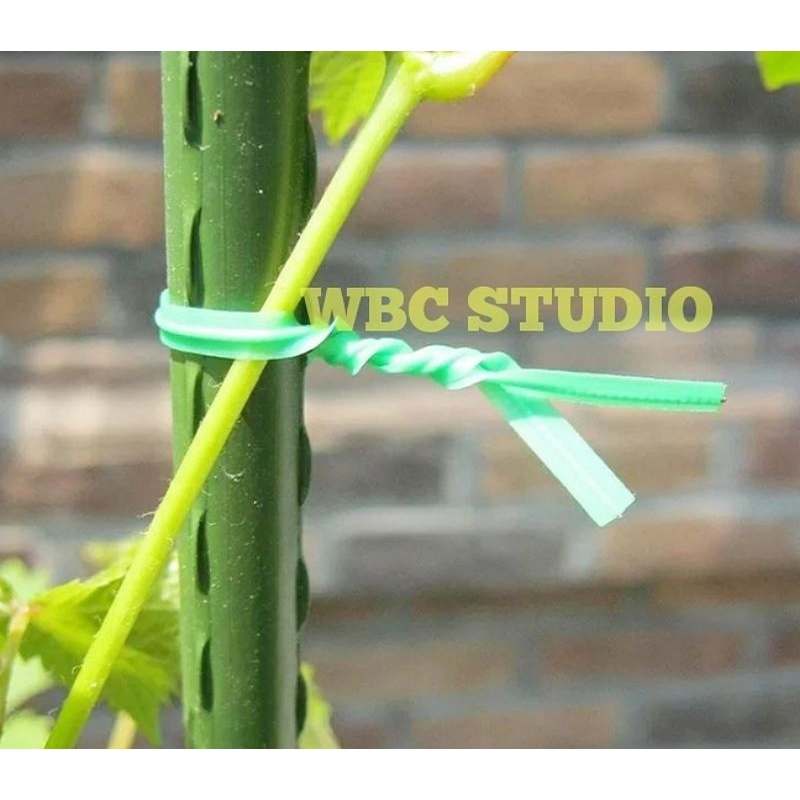 PENGIKAT TANAMAN ANGGUR & TANAMAN HIAS