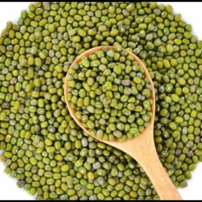 1kg benih kacang hijau super srikandi