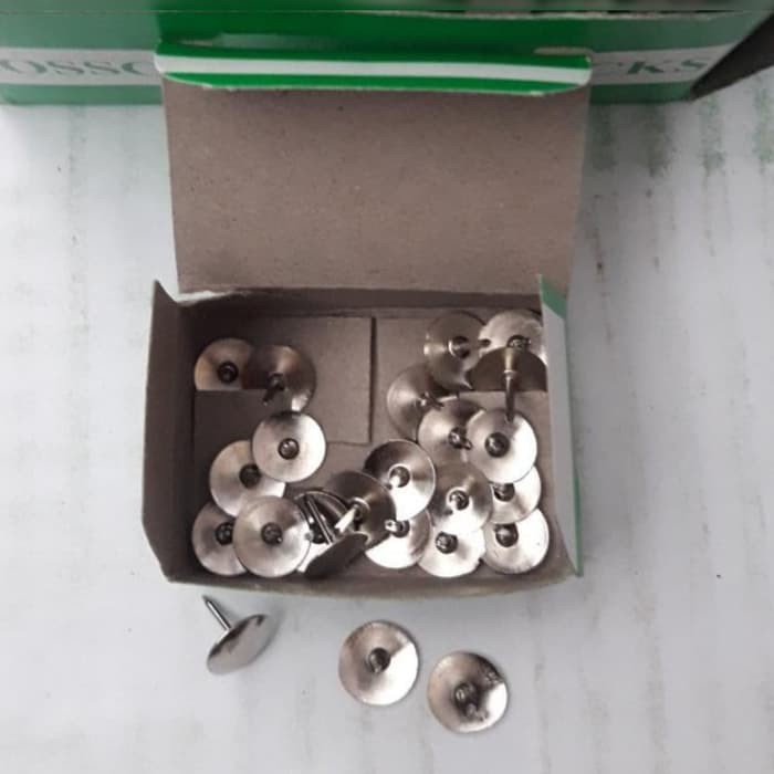 Paku Payung/Thumb Tacks/Paku Pinus/Paku Tindis/Paku Mading