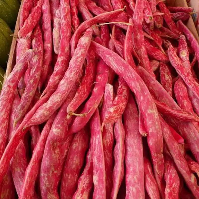 

Kacang Merah Red Beans 200gr