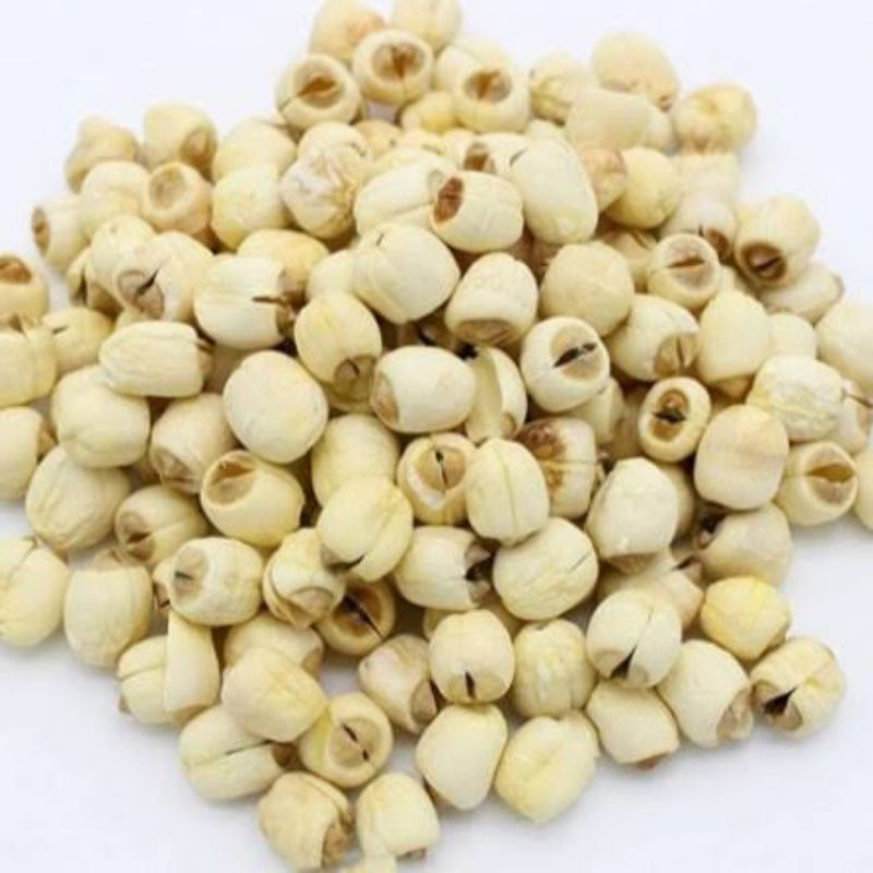 

Lotus Seed / Biji Teratai kering / Lian Zhi 100 gr