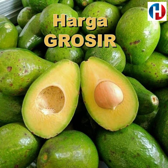 

Alpukat Mentega Super 1 Kg Apukat Mentega Super 1 Kg Harga Grosir 01