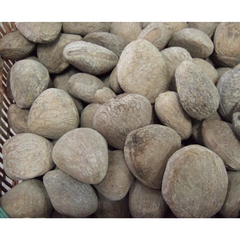 

kluwek/1kg/kluwek super/kluwek rawon/kepayang