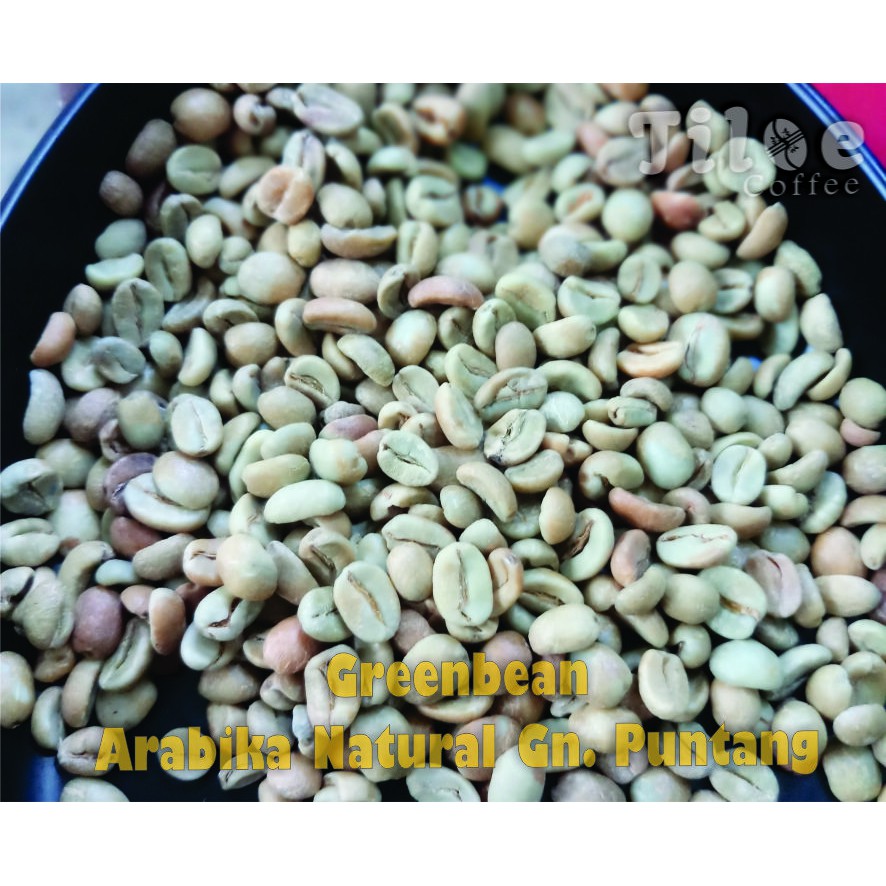 

Kopi Mentah Greenbean Arabika Natural Puntang Haruman Jawa barat kopi 1kg