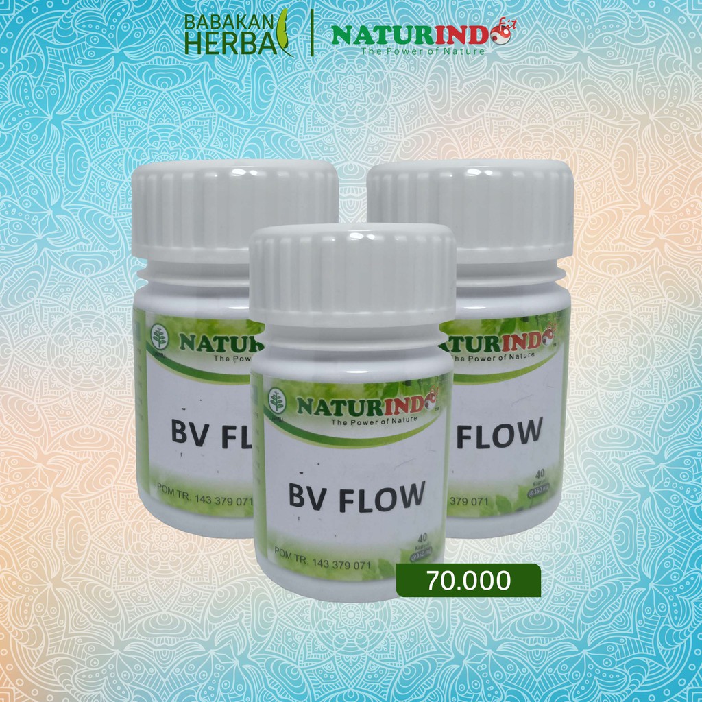 

Obat Herbal melancarkan sirkulasi darah Naturindo BV FLOW Babakan Herbal