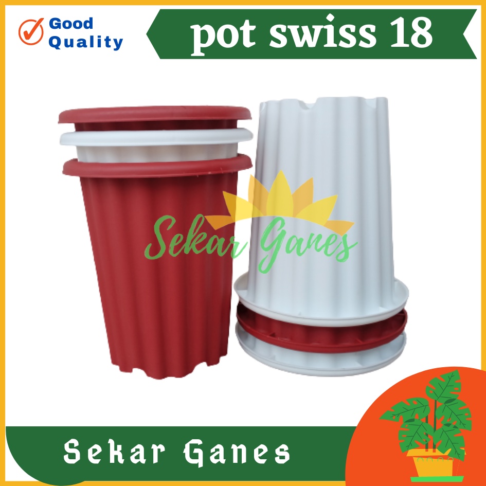 Pot Swiss 18 Putih Bening Transparan Hitam Merah Bata Merah Coklat Terracota Terracotta Mirip Pot Yogap Ypt 18 Putih Coklat Merah Bata Bening Transparan Pot Yogap 17 18 19 Pot Yogap Murah Pot Bunga Tinggi Pirus Tegak Bagus Tebal