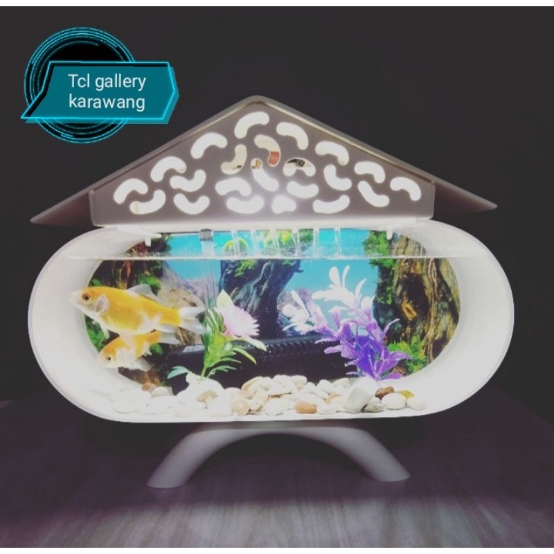 Aquarium mini pipa pvc fullset mesin sirkulasi lampu dan asesories