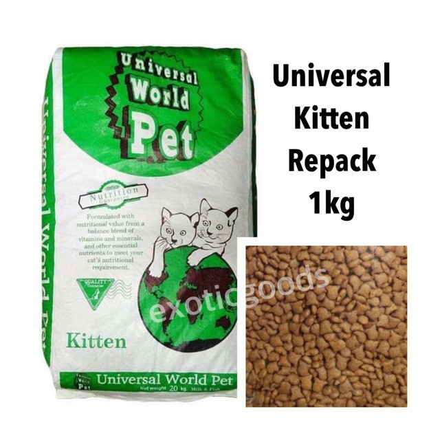 UNIVERSAL KITTEN