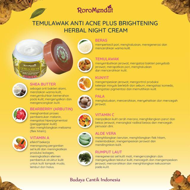 Night Cream Temulawak Roro Mendut