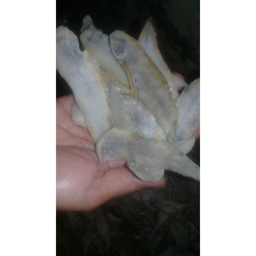 

Ikan Asin Lidah Kering 500 gr