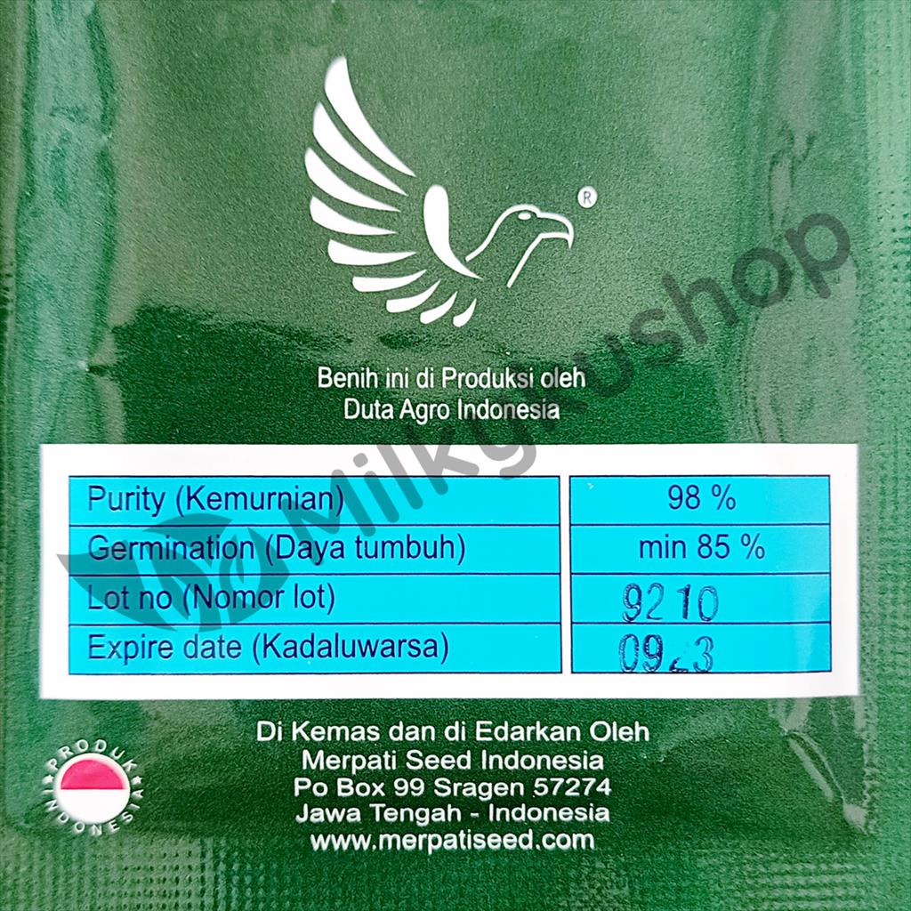 BENIH MERPATI SEED RONA TERONG LALAP 200 BIJI SACHET KEMASAN PABRIK