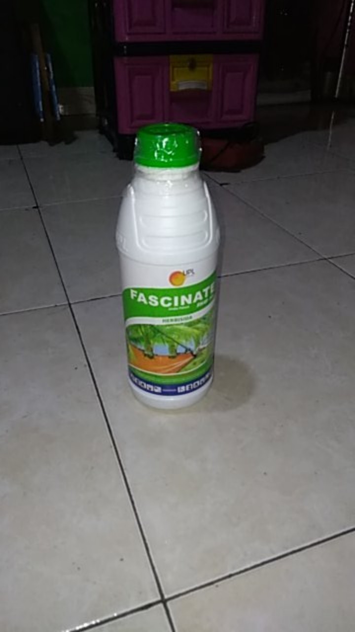 Herbisida Lulangan Grinting Fascinate 150sl 1liter