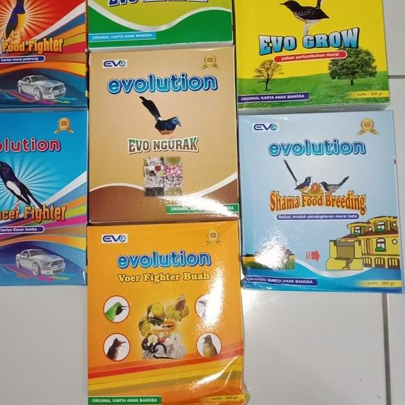 ▲ Voer Evolution Evo Grow Pakan Trotolan Murai Batu ♦