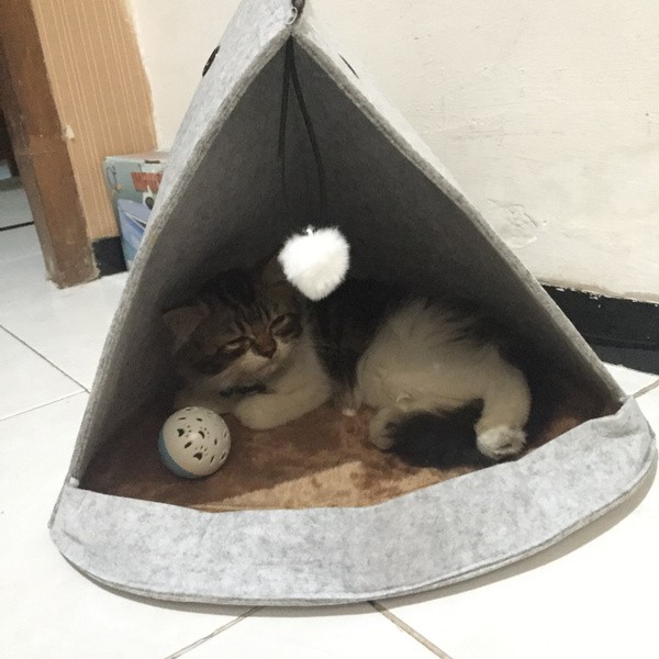 Tempat Tidur Kucing atau Anjing Model Ikan Pet Bed Cat Dog Bed Pouch Fish Lucu