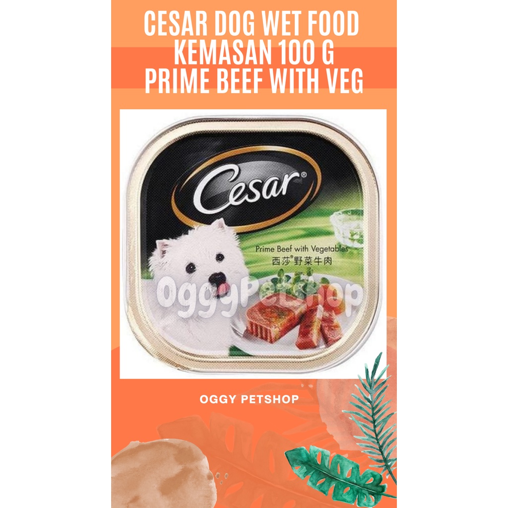 Cesar Wet Dog Food Kemasan Kaleng 100gr - Makanan Anjing Basah