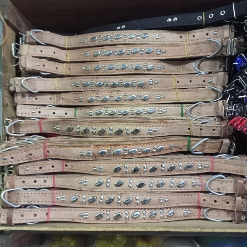 KALA KALUNG HARIAN ANJING BERBURU