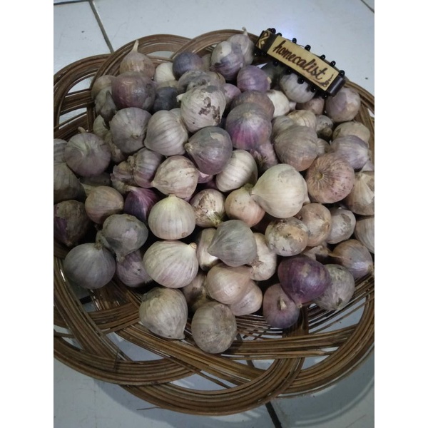 bawang putih tunggal 250gr / bawang putih lanang