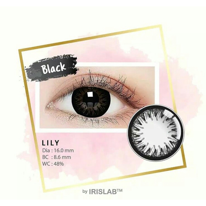 SOFTLENS LILY BLACK (-0.50 S/D -6.00)