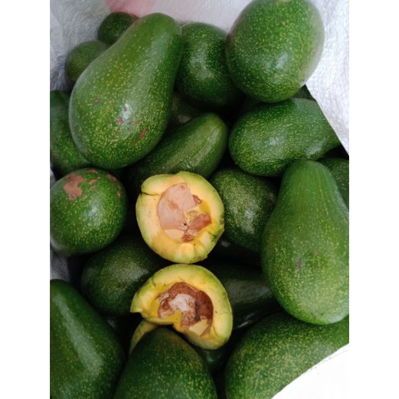 

alpukat super mentega per 1kg