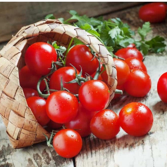 

Tomat Cherry