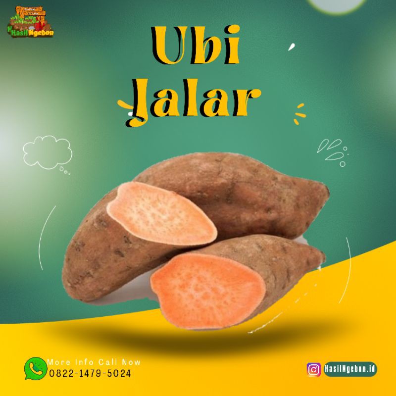 

UBI JALAR 1Kg