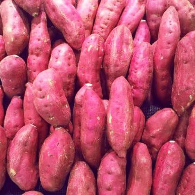 

BSM | TERMURAH Ubi Madu Ungu Manis 500gr - 1kg | Sayur online