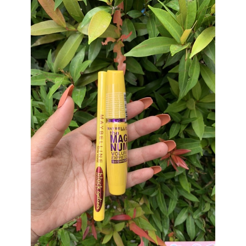 mascara & Eyeliner Maybeline