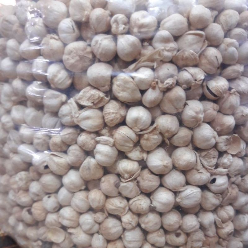 

Kapulaga Lokal putih 100 gram