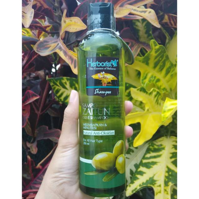 Herborist Shampoo Zaitun 250ml