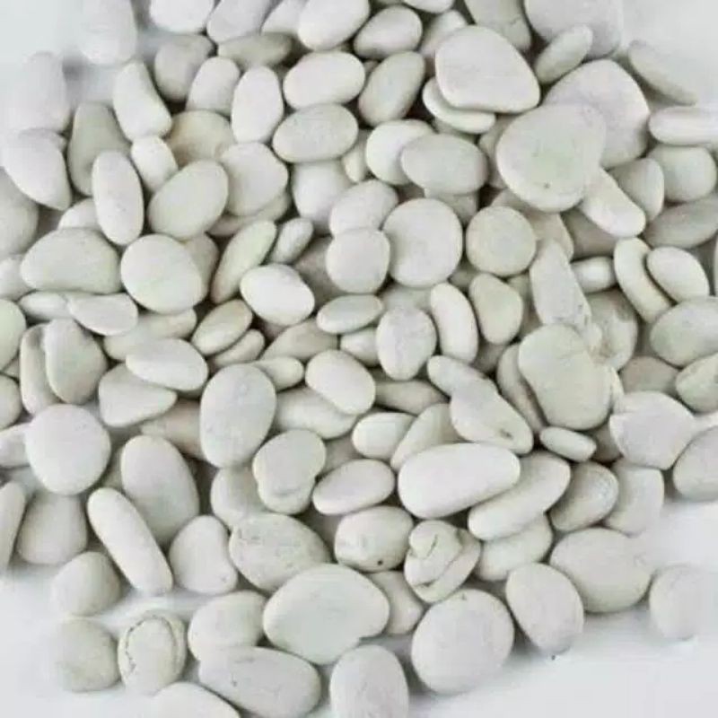 batu koral putih hias untuk tanaman,aquarium dll berat 300-400