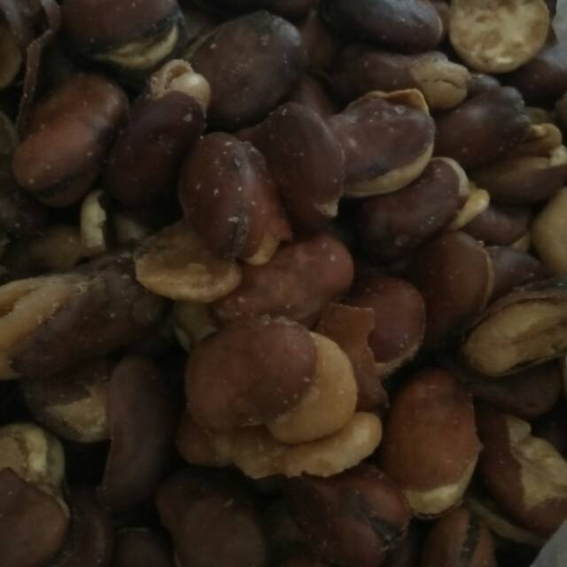 

Kacang koro kulit