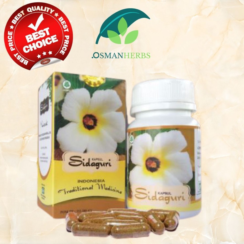 

Obat Herbal Reumatik Daun Sidaguri