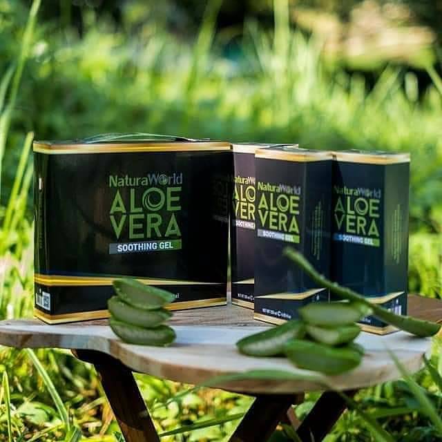 NATURA ALOE VERA 100% ASLI TERMURAH