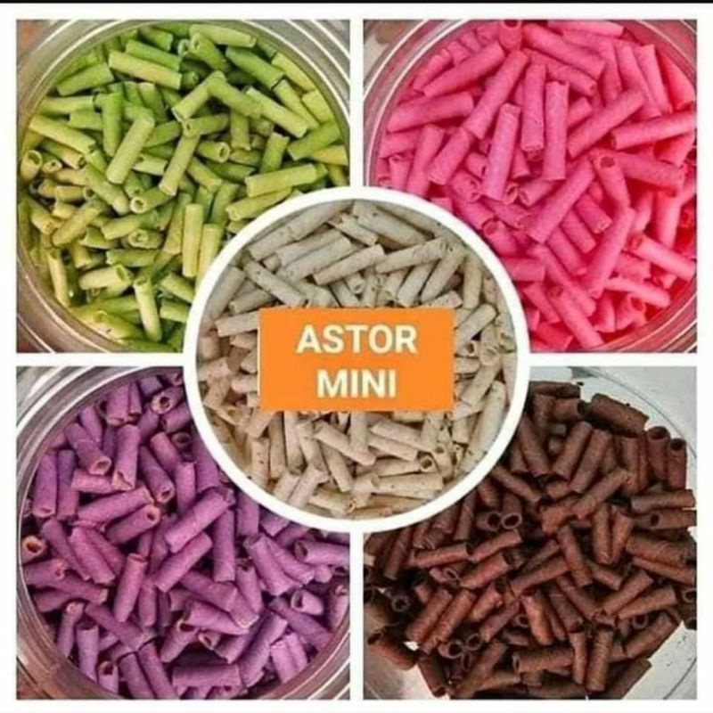 

astor mini