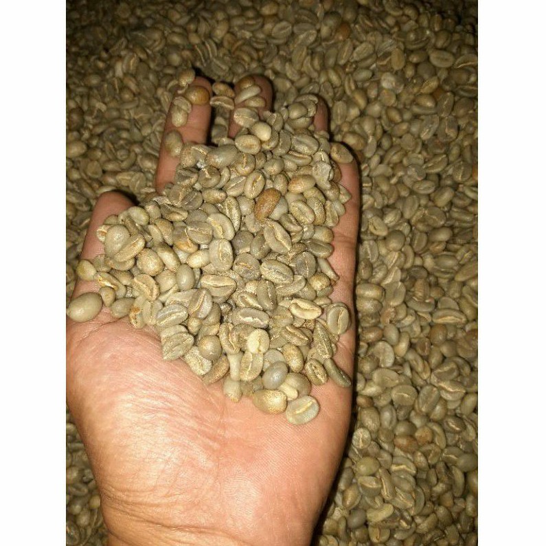

Arabika Gayo Natural