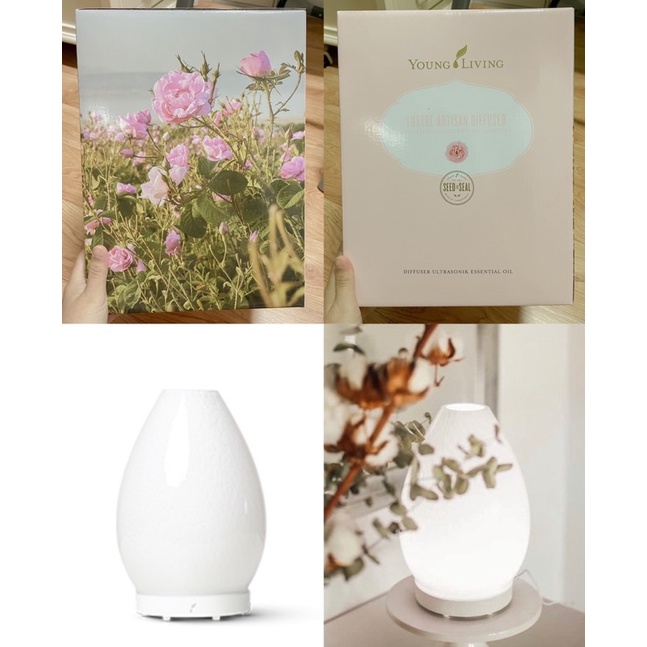 Lustre Diffuser New