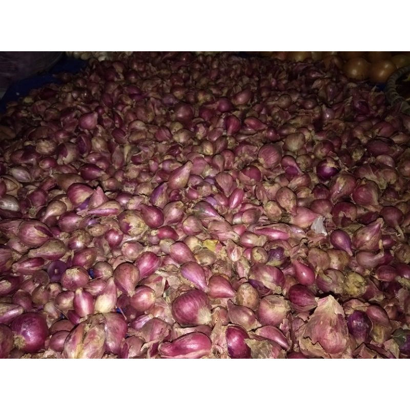 

Bawang Merah Brebes 500gr