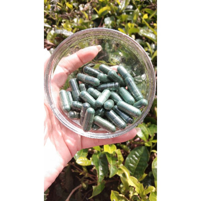 spirulina, masker spirulina, spirulina mask