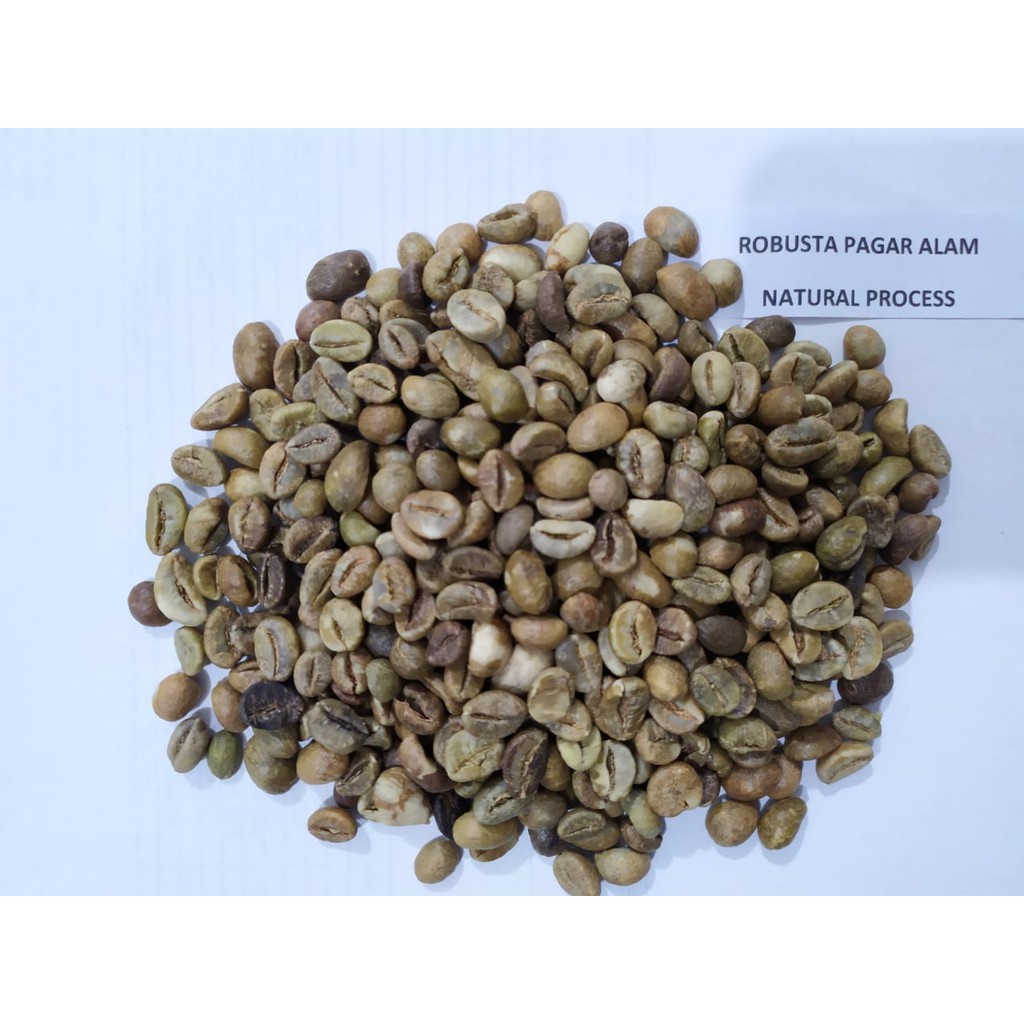 

GREEN BEAN ROBUSTA PAGAR ALAM INSPRESSO - NATURAL PROCESS