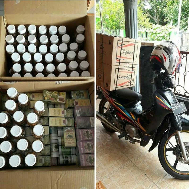 PELANCAR ASI HERBAL Daun Pegagan Original