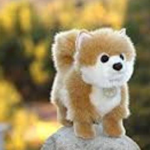 Unik Boneka Anjing Pom Coklat Terlaris