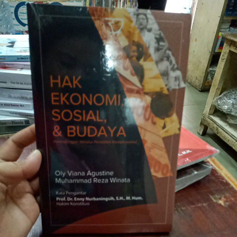 hak ekonomi sosial dan budaya perlindungan melalui peradilan