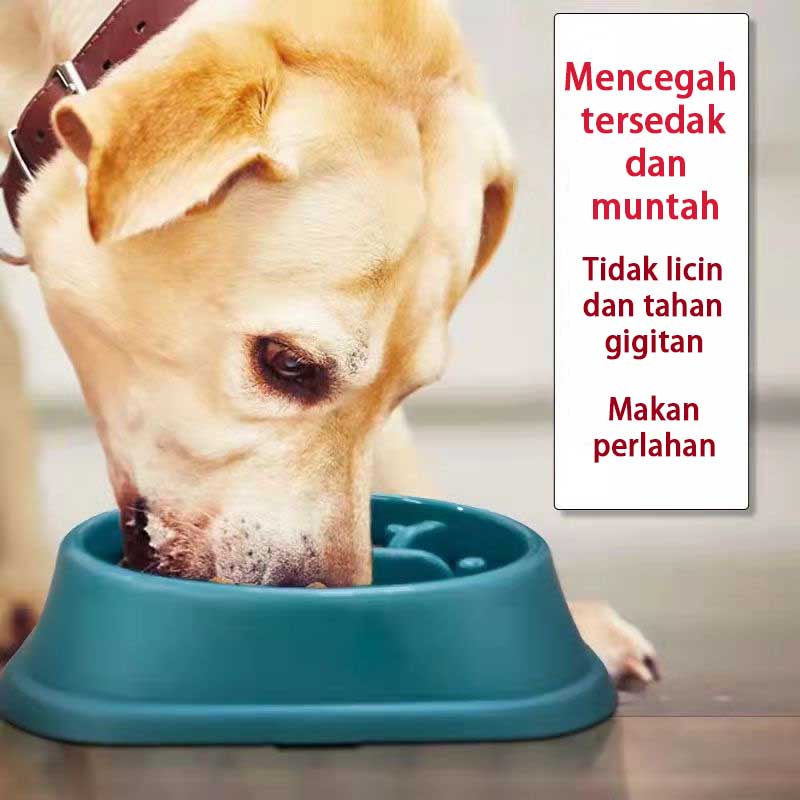 Dog Cat Slow Eating Bowl| Slow Feeder Bowl | Anti Bloat | Anti choking | Mangkok Anjing Kucing Murah（Warna acak）